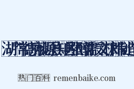湖广常德府桃源县知县张醇儒授文林郎制造句是什么意思的图片